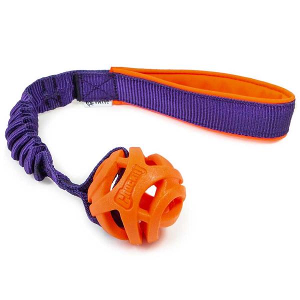 Bungee mit CHUCKIT Breath Right Fetch Ball S